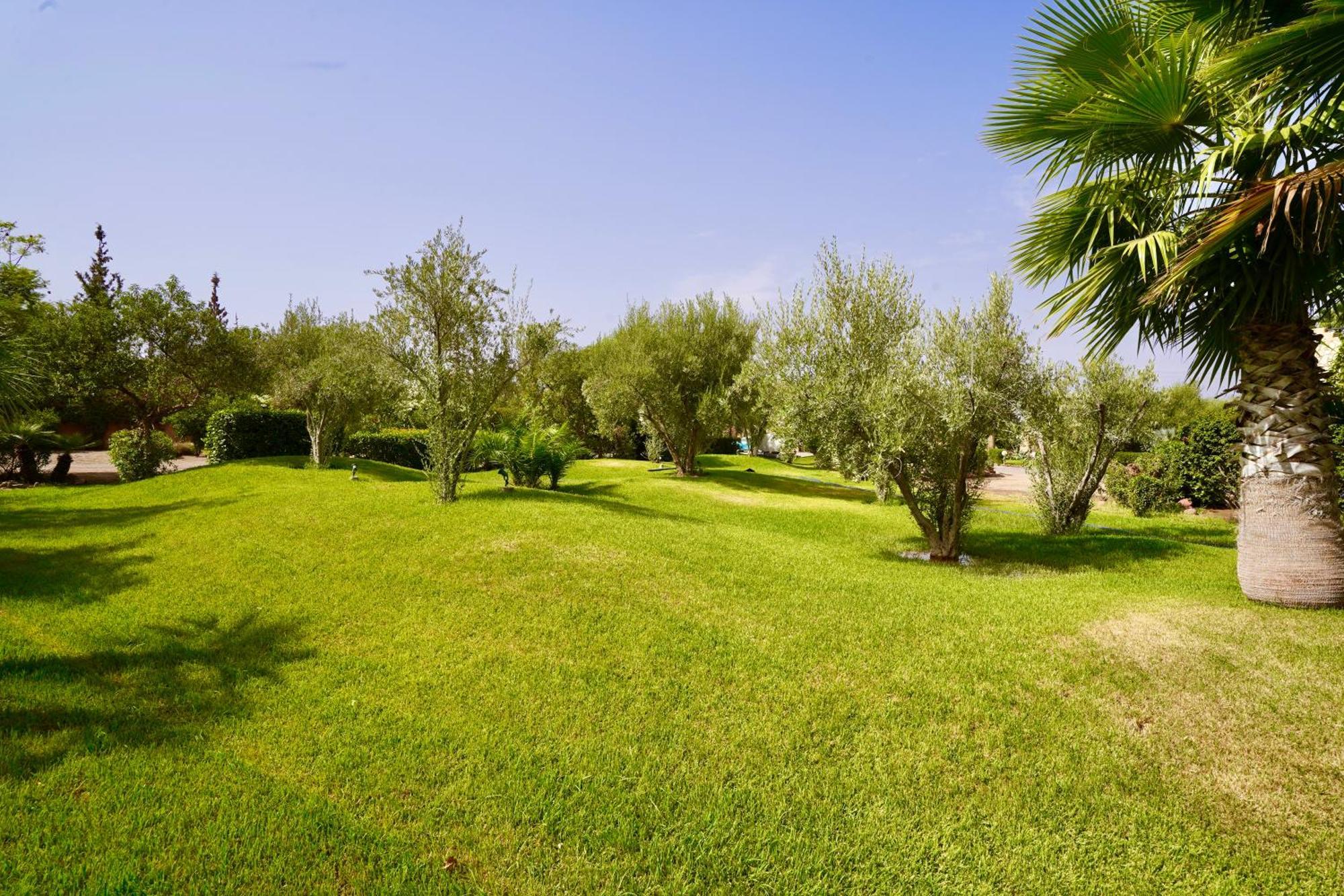 Ourika-camp Marrakech Bed & Breakfast El Harkat Bagian luar foto