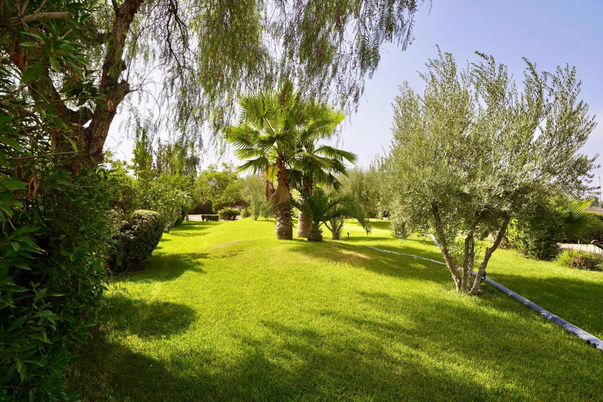 Ourika-camp Marrakech Bed & Breakfast El Harkat Bagian luar foto