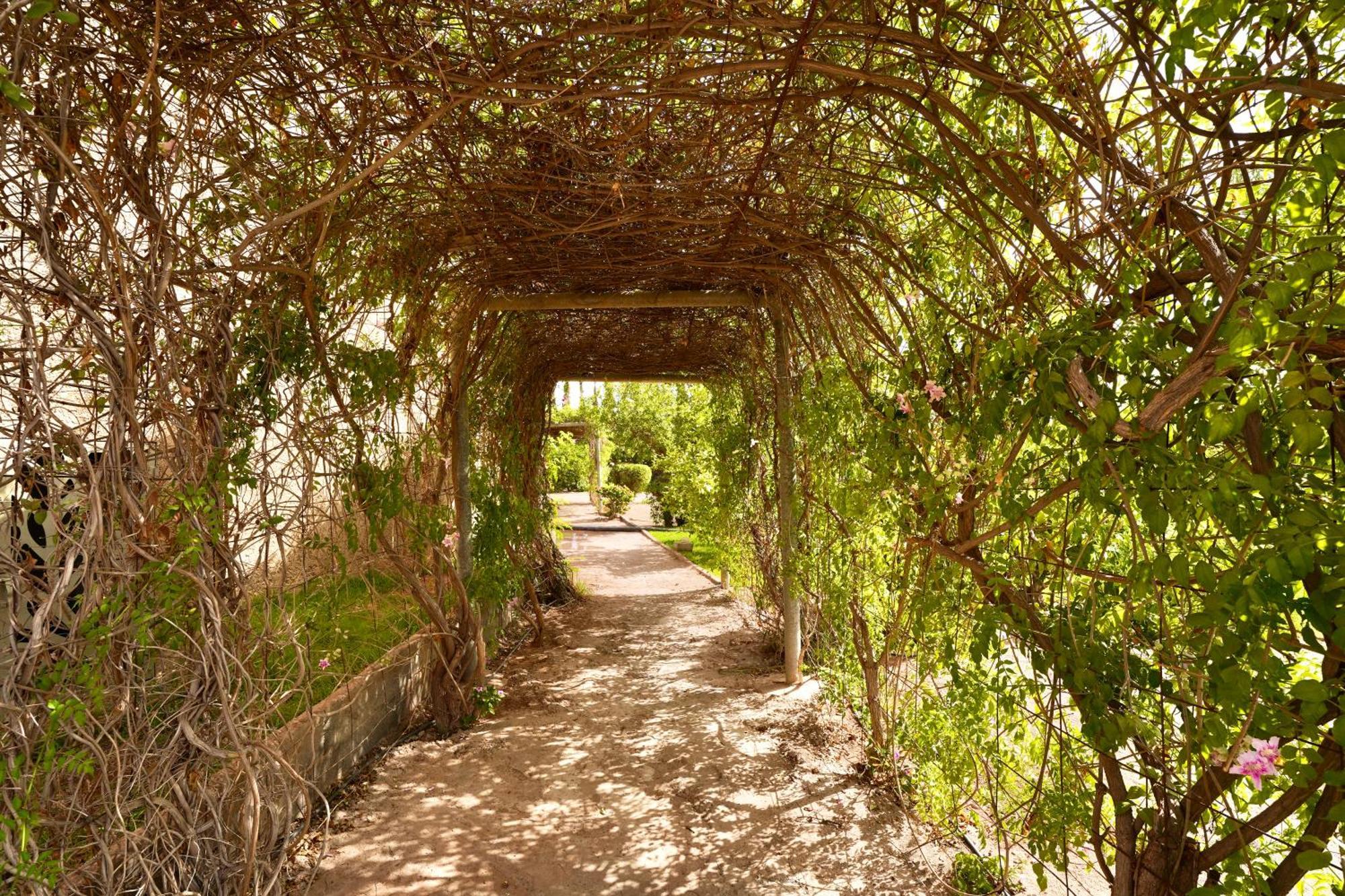 Ourika-camp Marrakech Bed & Breakfast El Harkat Bagian luar foto